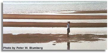 Beachcombing at Homeport by the Sea
