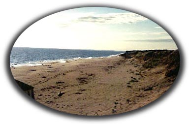 Stanhope Cape Estates - PEI Accommodations - Photo