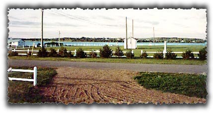 Stanhope Cape Estates - PEI Accommodations - Photo